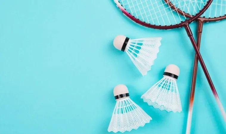 Bật Mí Cách Cá Cược Cầu Lông 58Win Luôn Thắng Lớn 1 Cầu Lông 58Win