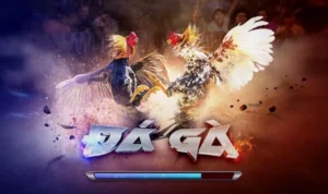 Đá Gà 3D Tại 58Win