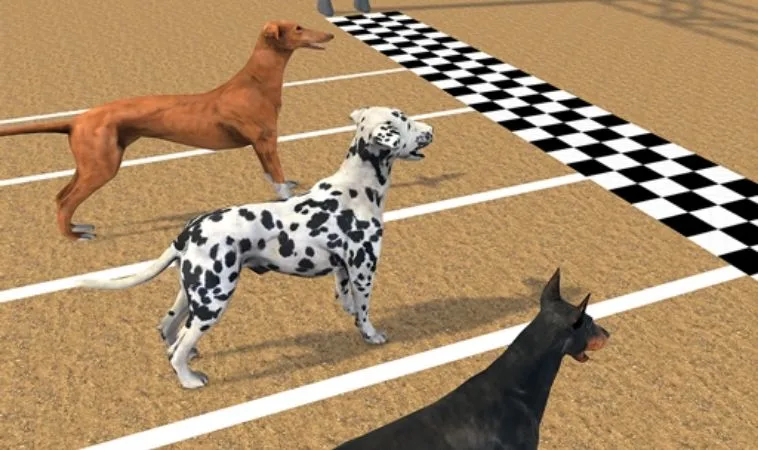 Hướng Dẫn Chơi Đua Chó 58Win Chi Tiết Cho Người Mới 2 Cách chơi game nhanh Đua Chó 58Win