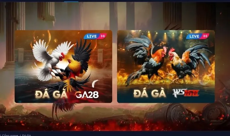 Sảnh Đá Gà 58Win thiết kế giao diện đẹp, chuyên nghiệp