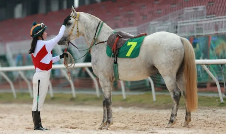 Chinh Phục Trường Đua Với Cá Cược Đua Ngựa 58Win Siêu Đỉnh 2 Cần tìm hiểu kỹ về bộ môn đua ngựa 58Win trước khi cá cược