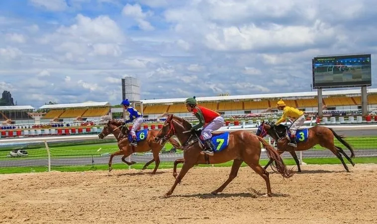 Chinh Phục Trường Đua Với Cá Cược Đua Ngựa 58Win Siêu Đỉnh 1 đua ngựa 58Win